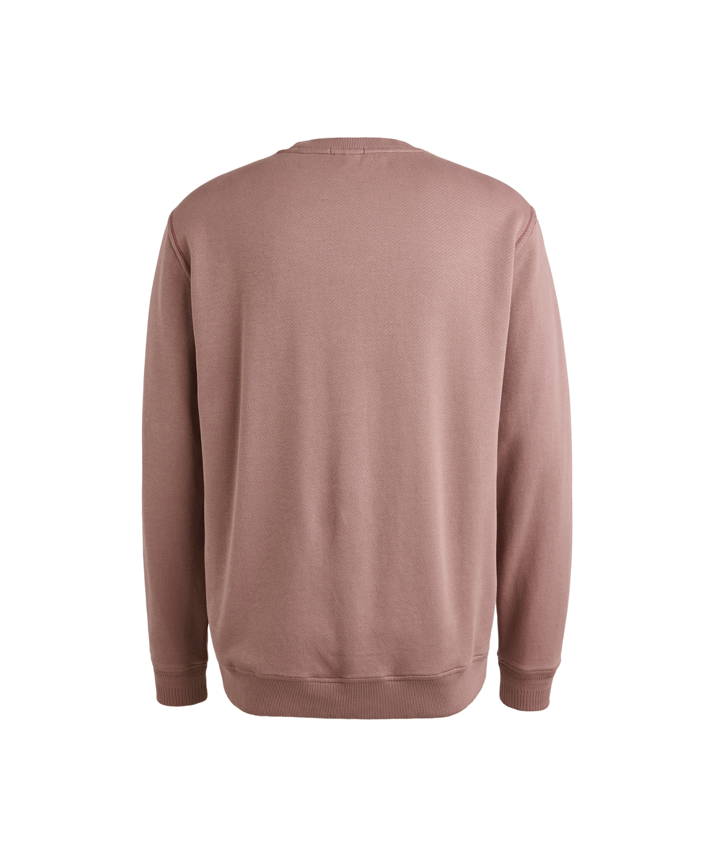 Cast Iron - Csw2509441 - Longsleeve - 4318 Toadstool