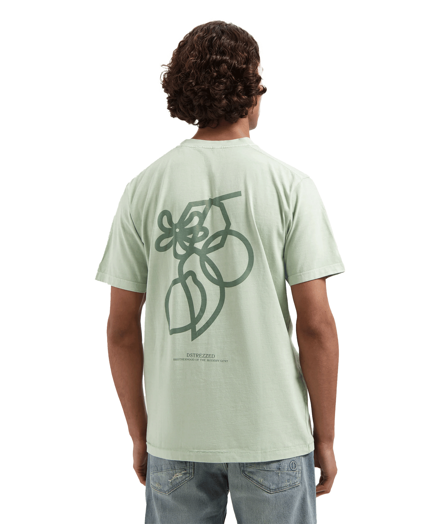 Dstrezzed - Nickolas Graphic - T-shirt - 558 Sage