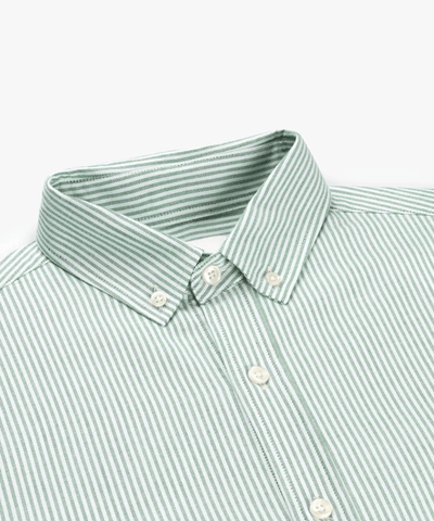 VAN HARPER - Sh101 - Organic Oxford Shirt - Olive Stripes